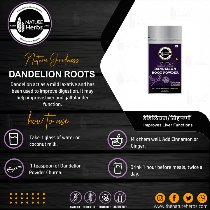 Dandelion Root Powder For Liver Health - INNOVEDA