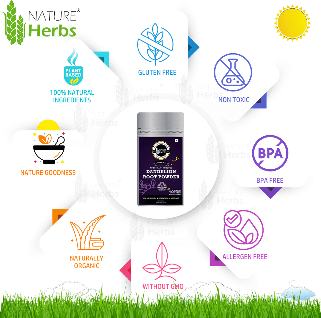 Dandelion Root Powder For Liver Health - INNOVEDA