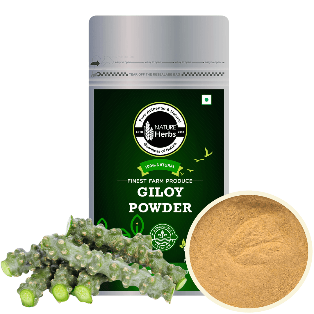 Giloy Guduchi Powder - INNOVEDA