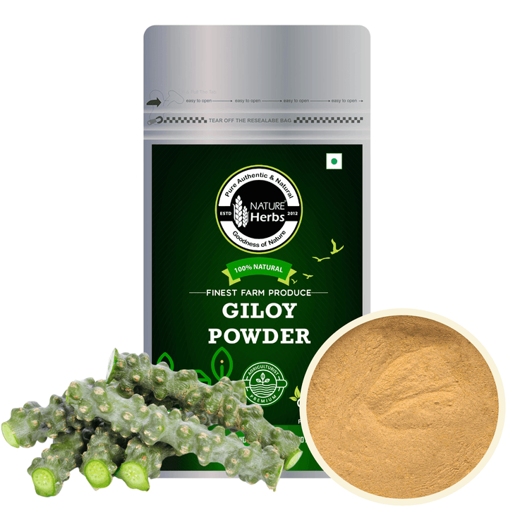 Giloy Guduchi Powder - INNOVEDA