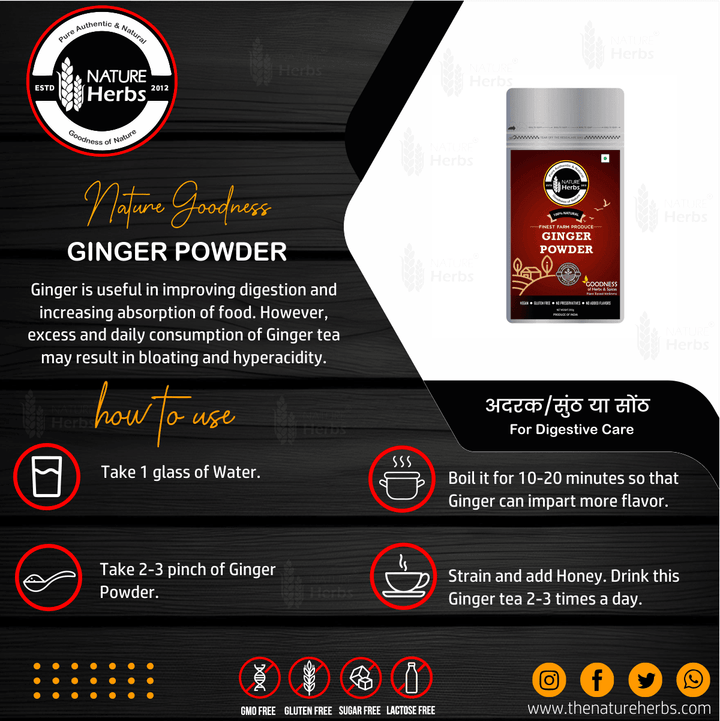 Ginger Adrak Powder - INNOVEDA