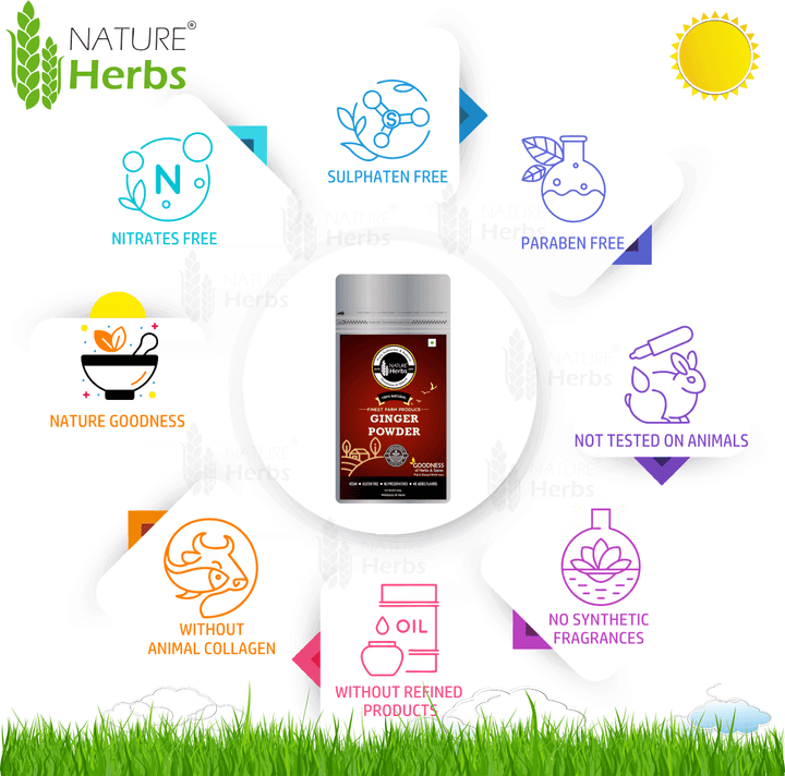 Ginger Adrak Powder - INNOVEDA