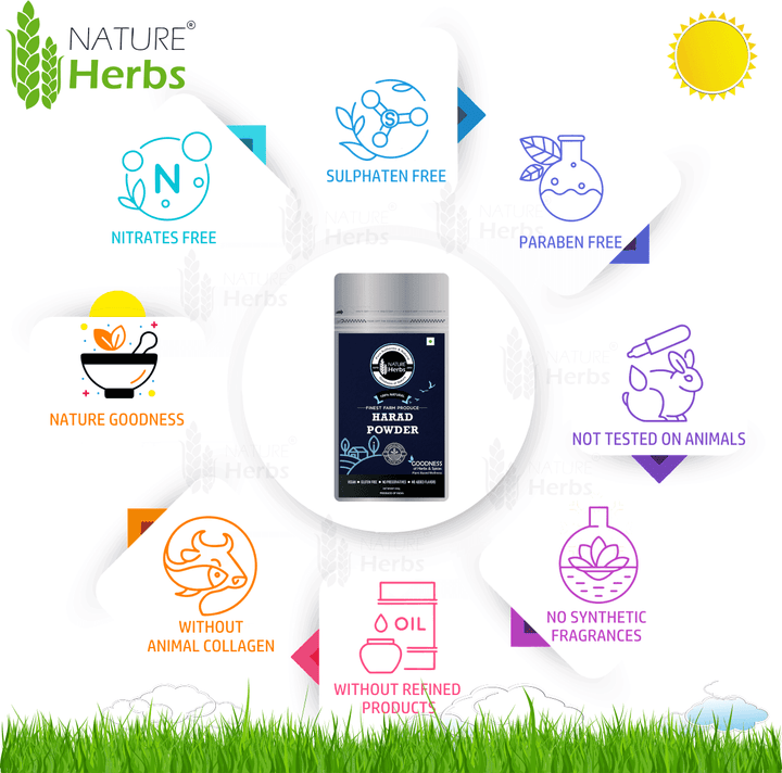 Harad Powder Haritaki Churna - INNOVEDA