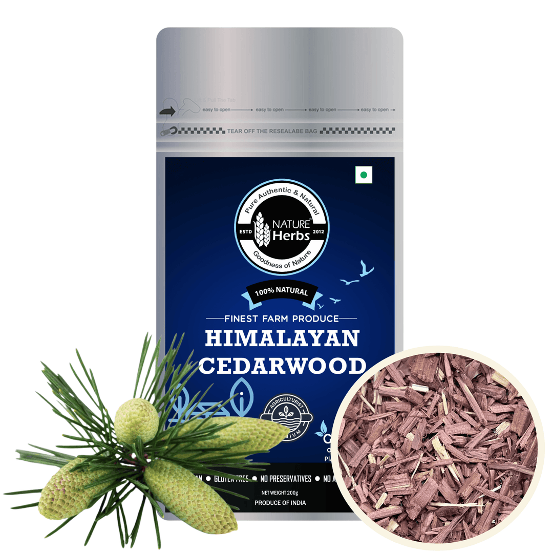 Himalayan Cedar Devdaru Deodar Tea For Weight Management - INNOVEDA