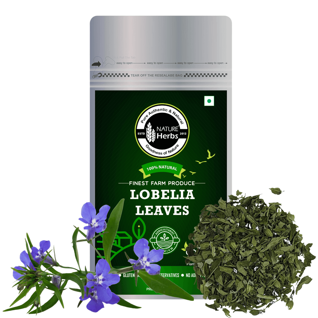 Lobelia Leaves - INNOVEDA