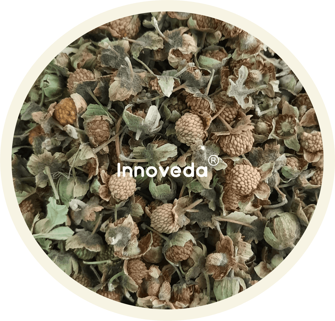 Red Raspberry Fruit Tea Rich in Vitamin C - INNOVEDA