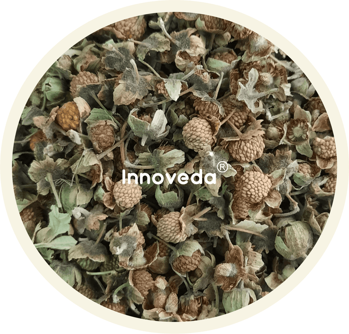 Red Raspberry Fruit Tea Rich in Vitamin C - INNOVEDA