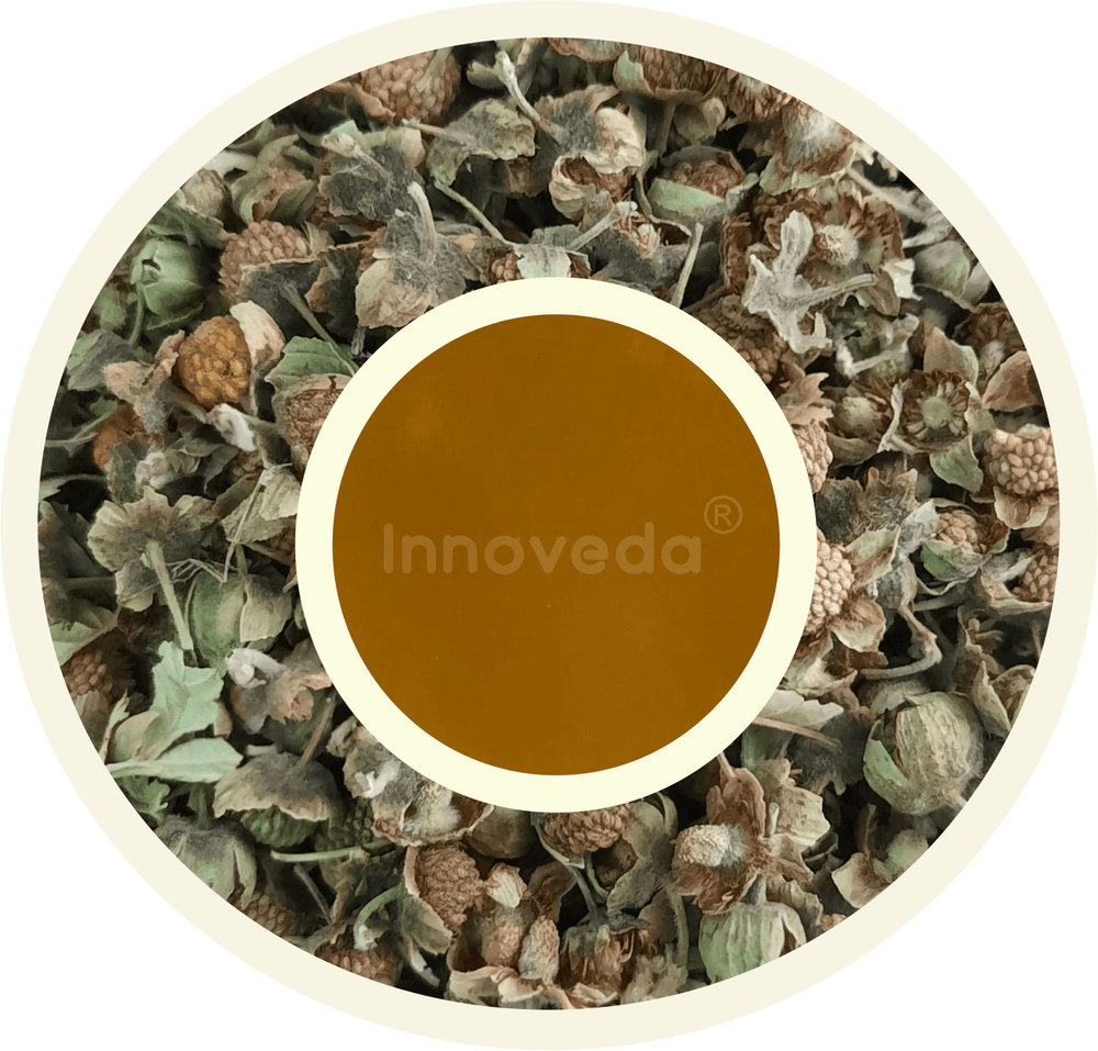 Red Raspberry Fruit Tea Rich in Vitamin C - INNOVEDA