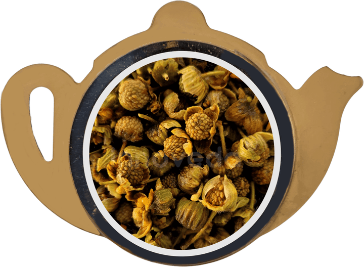 Red Raspberry Fruit Tea Rich in Vitamin C - INNOVEDA