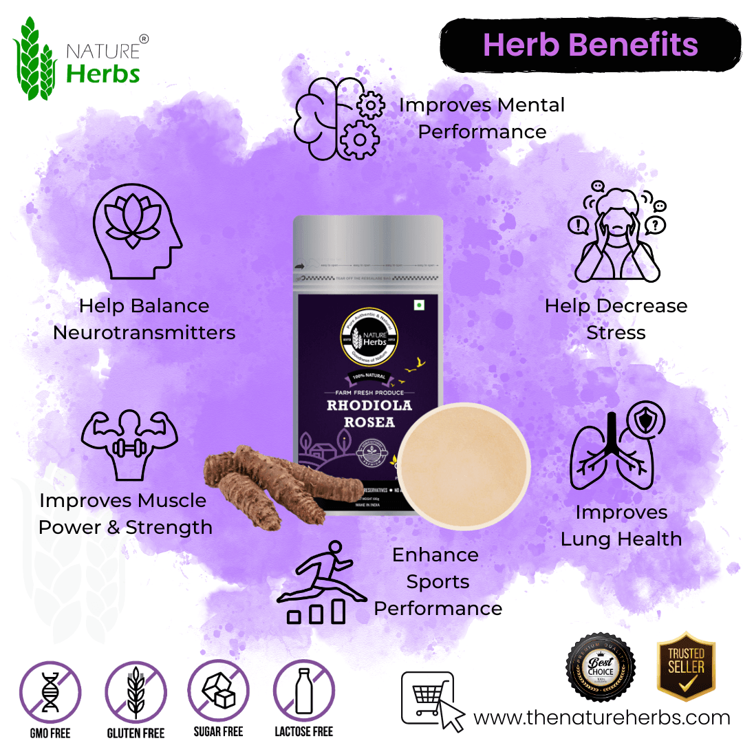 Rhodiola Rosea Powder - INNOVEDA