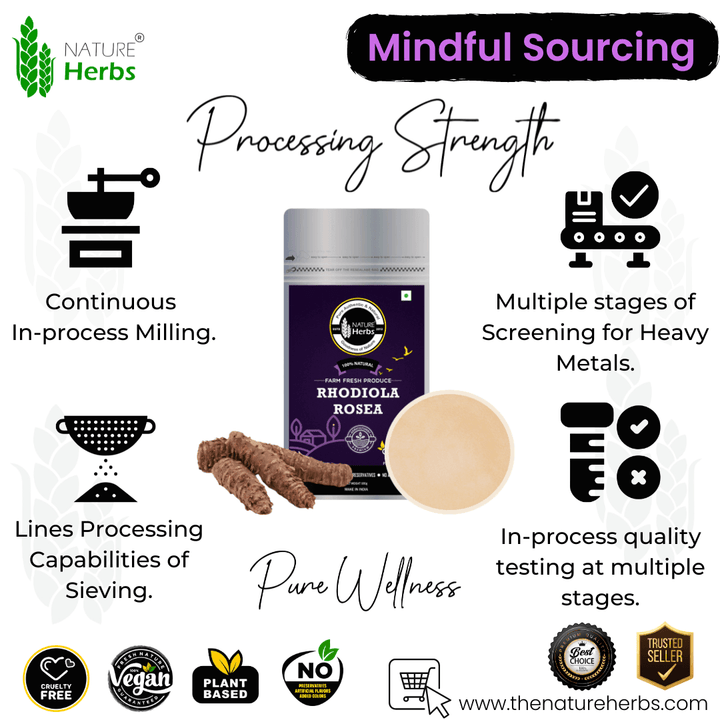 Rhodiola Rosea Powder - INNOVEDA