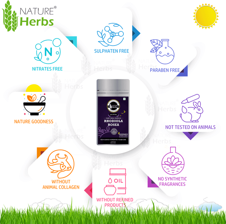 Rhodiola Rosea Powder - INNOVEDA
