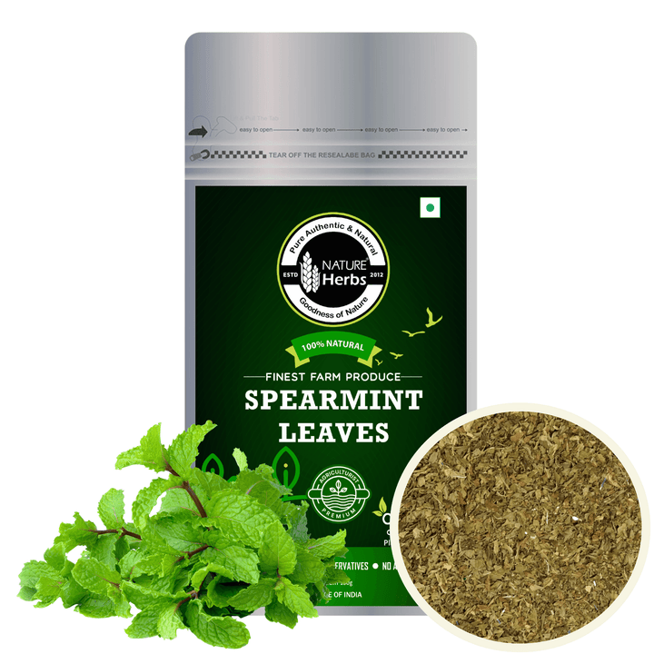 Spearmint Leaves - INNOVEDA