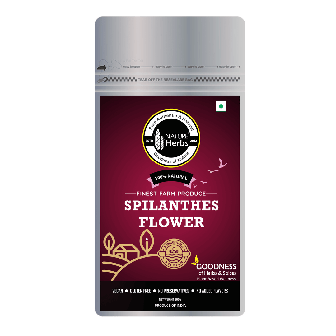 Spilanthes Flower - INNOVEDA