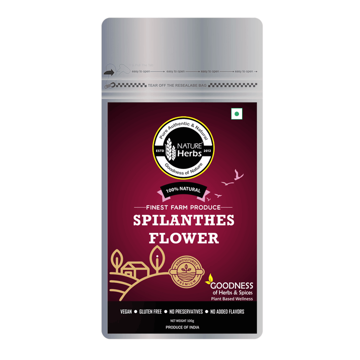 Spilanthes Flower - INNOVEDA