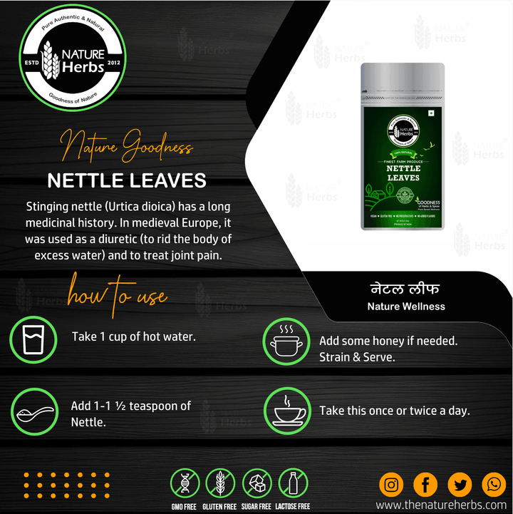 Stinging Nettle Leaves - INNOVEDA