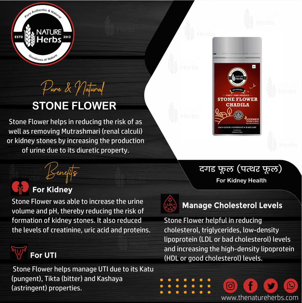 Stone Flower - INNOVEDA