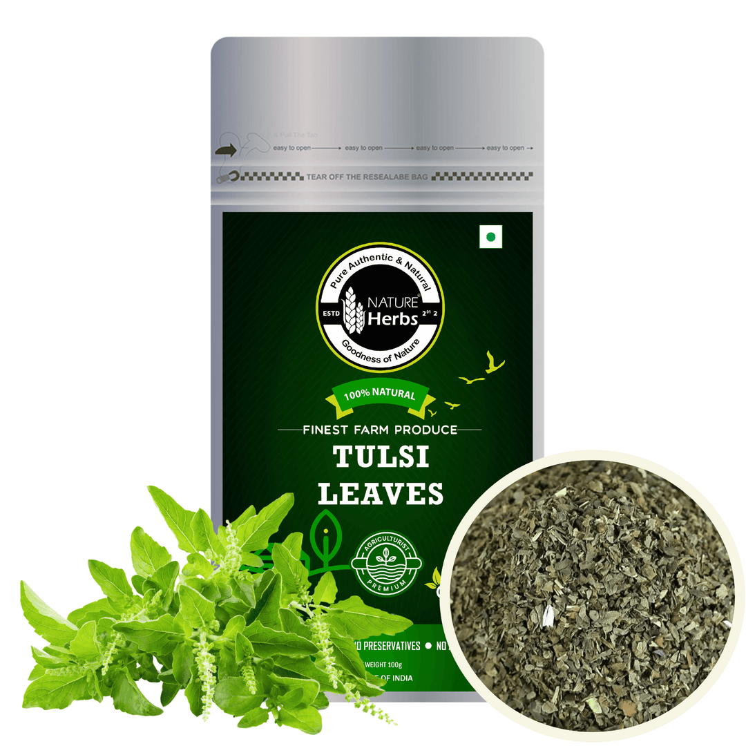 Tulsi Leaves - INNOVEDA