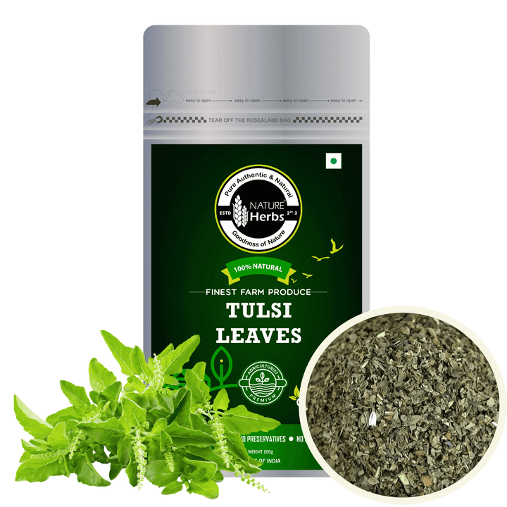 Tulsi Leaves - INNOVEDA
