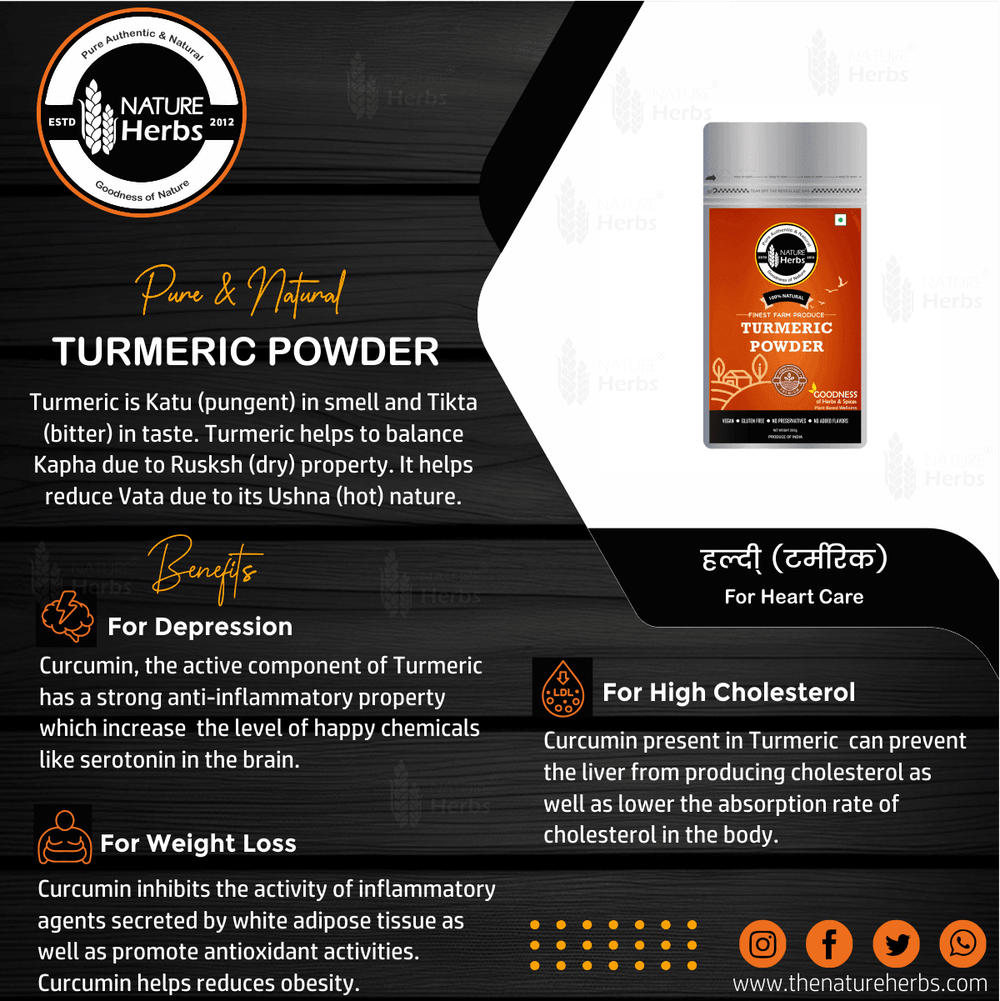Turmeric Curcumin Rich Haldi Powder - INNOVEDA