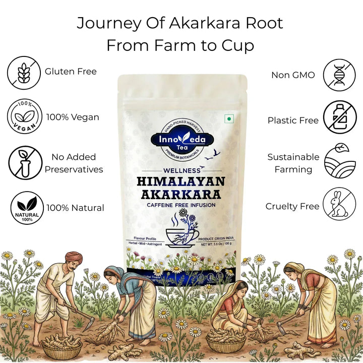 Akarkara Root Infusion 100 Grams - INNOVEDA