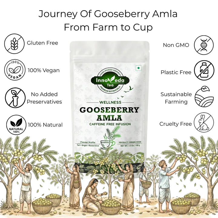 Gooseberry Amla Infusion 100 Grams - INNOVEDA