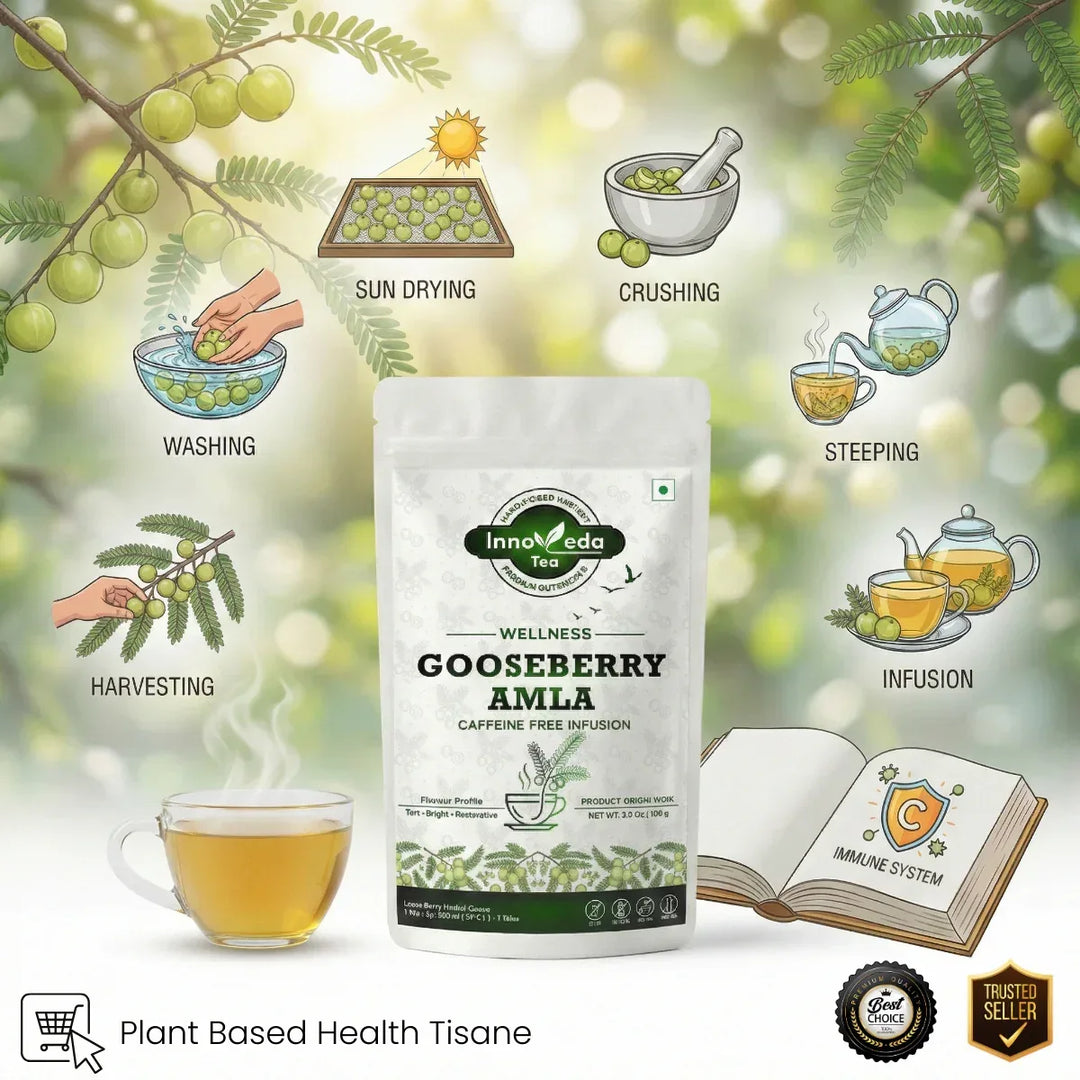 Gooseberry Amla Infusion 100 Grams - INNOVEDA