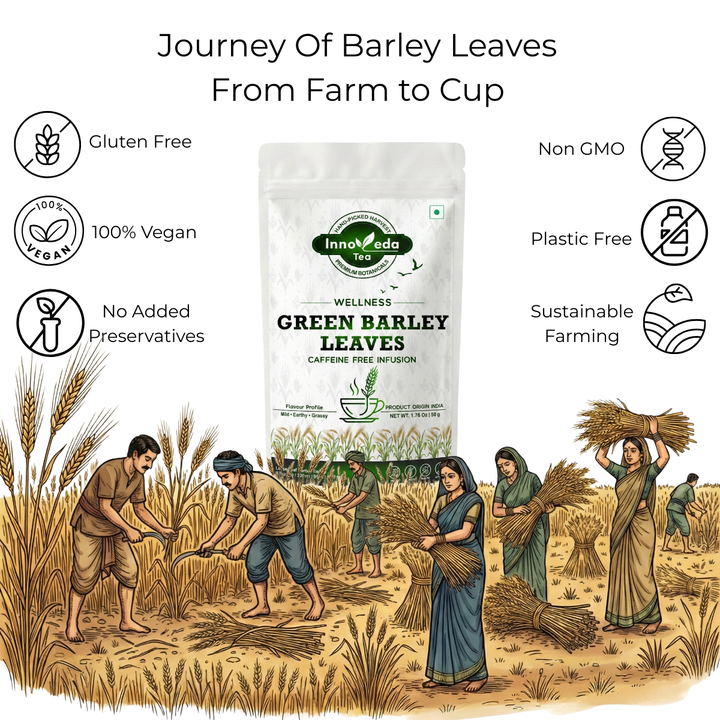 Barley Leaf Infusion 50 grams