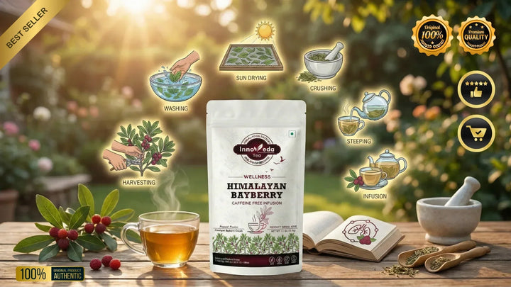 Bayberry Leaf Infusion 50 Grams - INNOVEDA