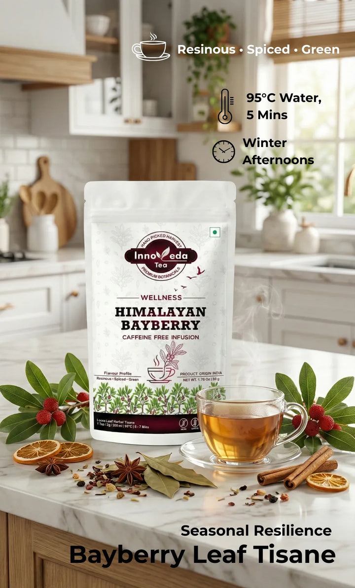 Bayberry Leaf Infusion 50 Grams - INNOVEDA