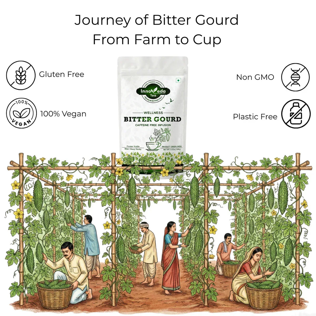 Bitter Gourd 100 grams - INNOVEDA