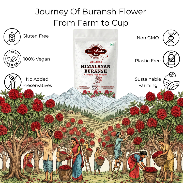 Himalayan Buransh Flower Tisane 40 Grams