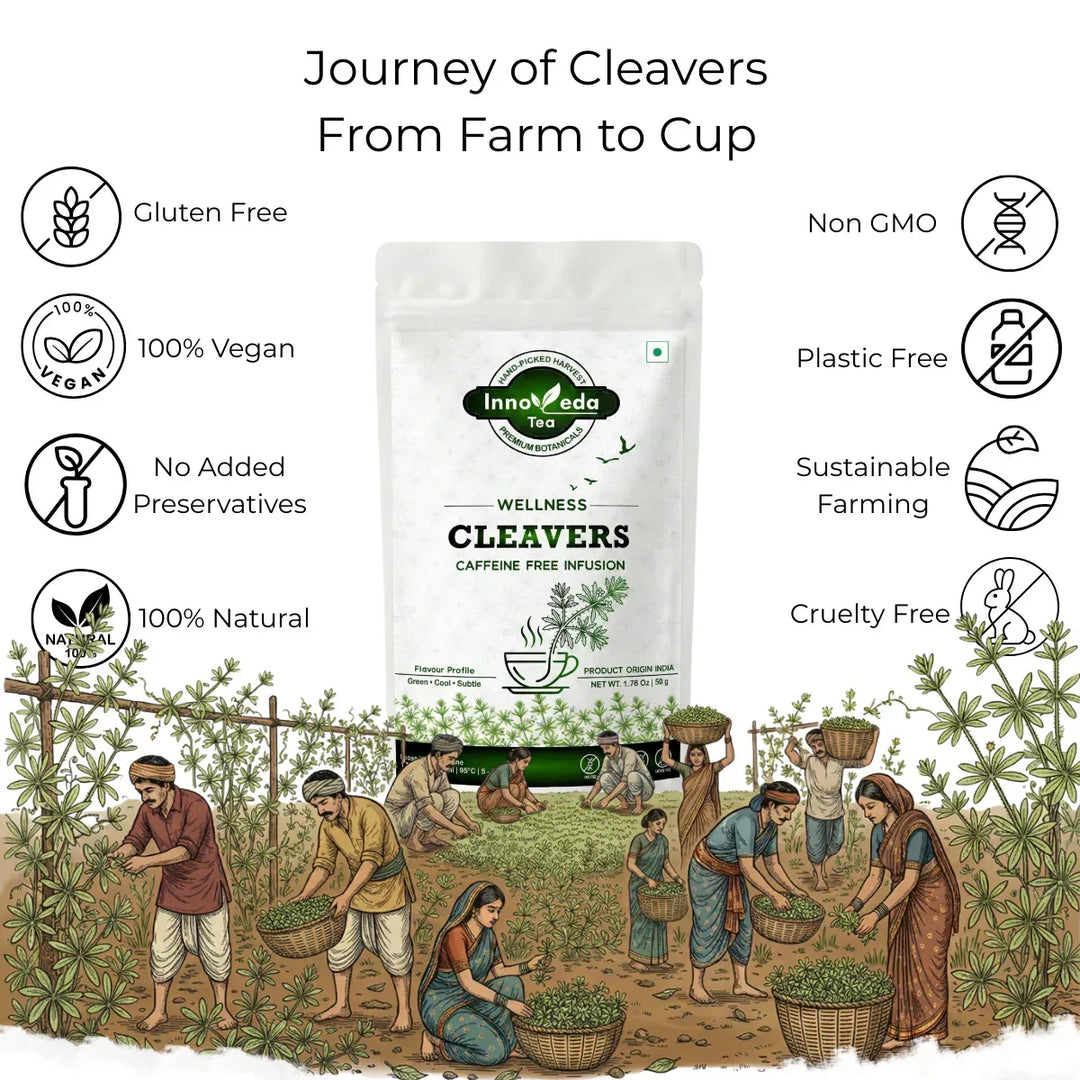 Cleavers Infusion 50 Grams - INNOVEDA