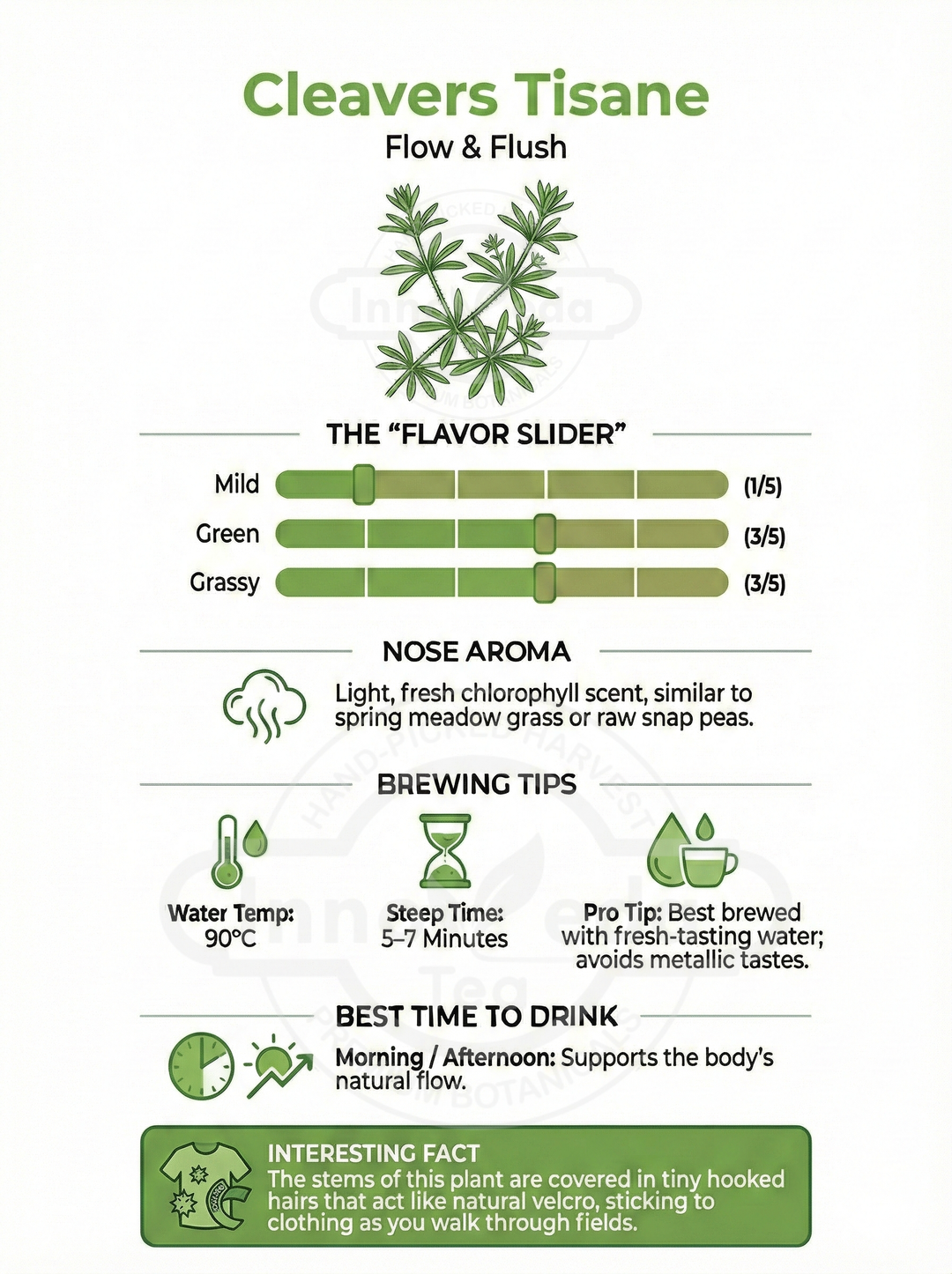 Cleavers Infusion 50 Grams