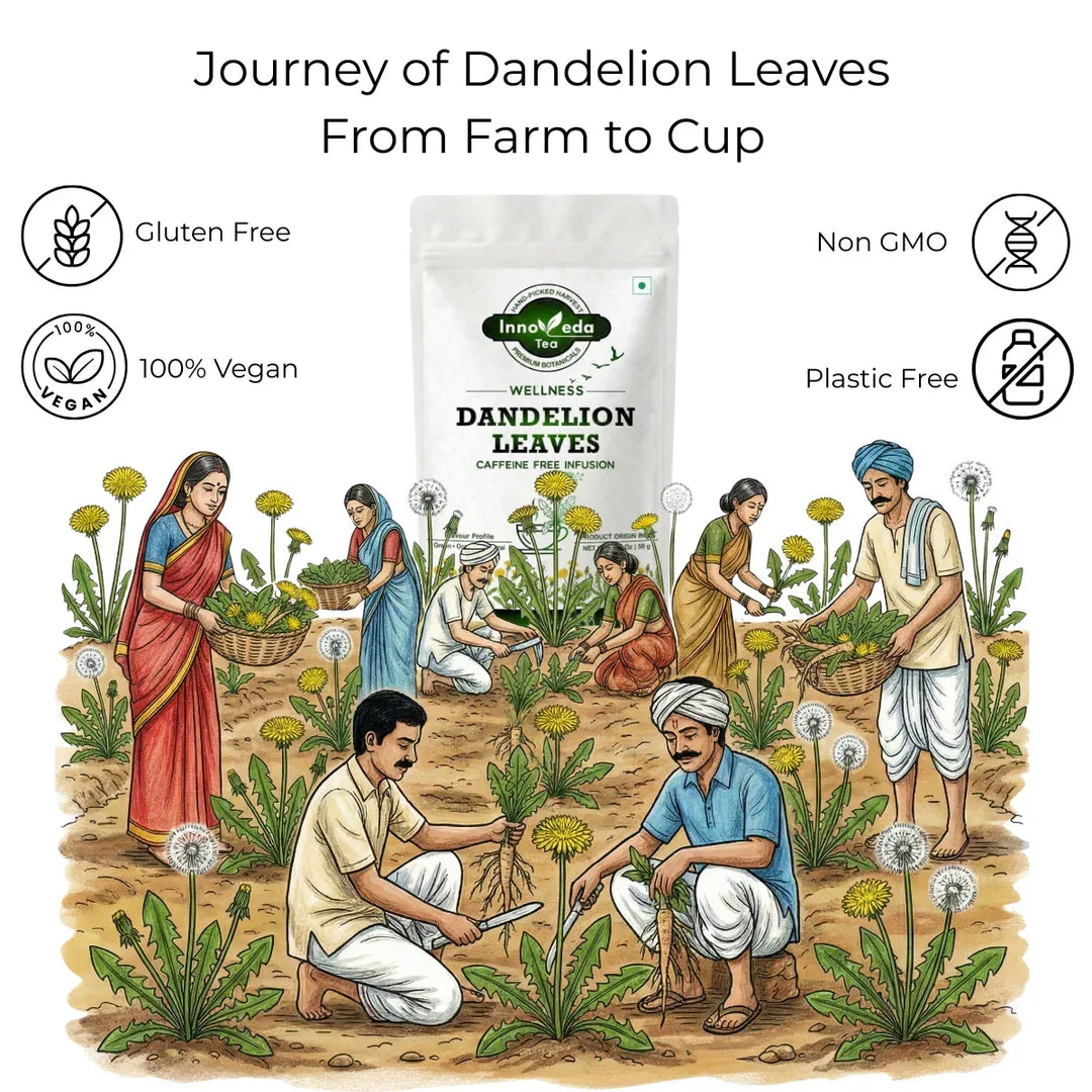 Dandelion Leaf Infusion 50 grams - INNOVEDA