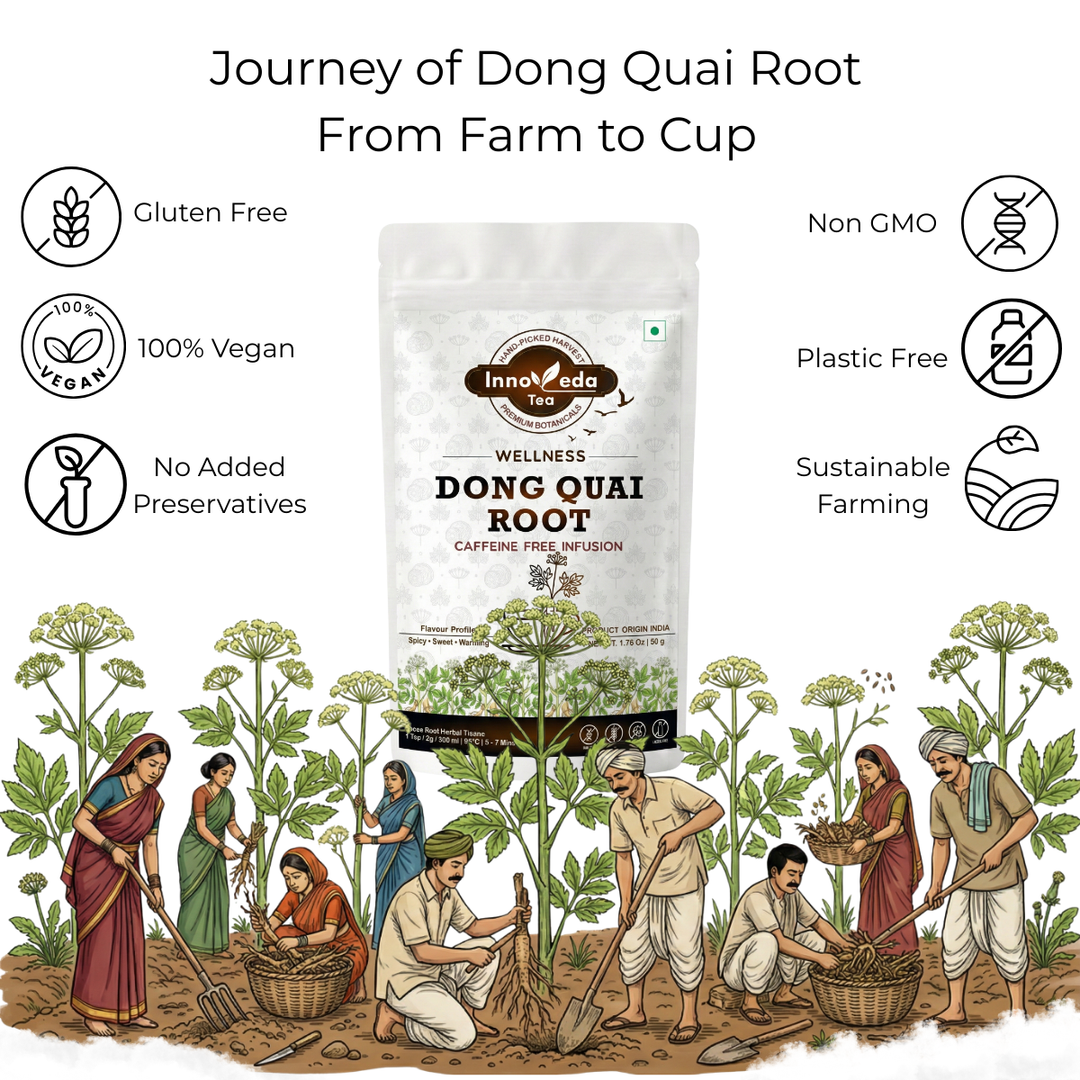 Dong Quai Root Infusion 50 Grams