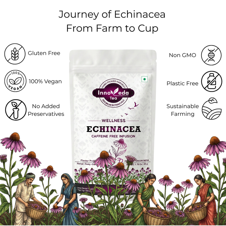 Echinacea Infusion 50 Grams