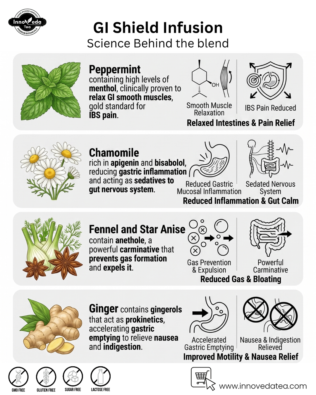 GI Shield Tea