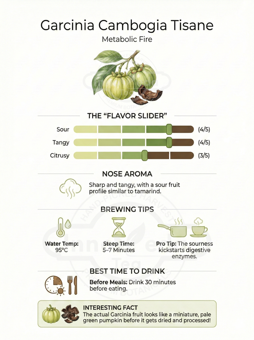 Garcinia Cambogia-Tee für die Keto-Diät