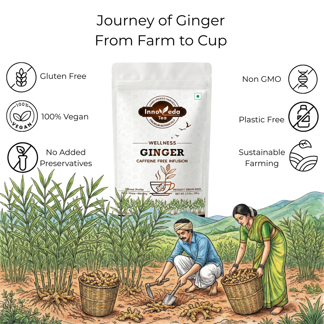 Ginger Root Tisane 100 grams
