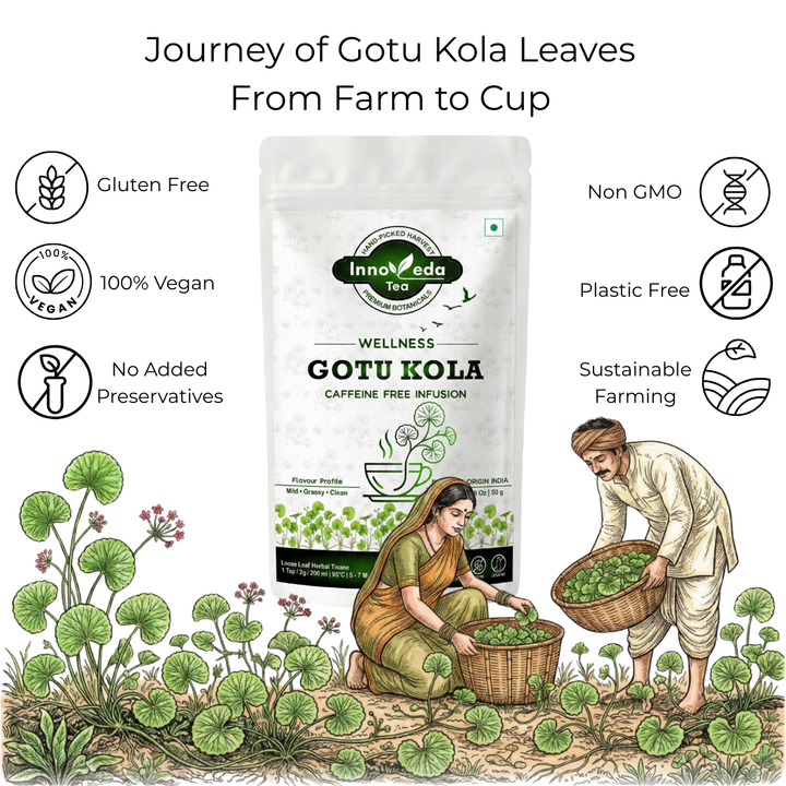 Thé pour la peau Gotu Kola 