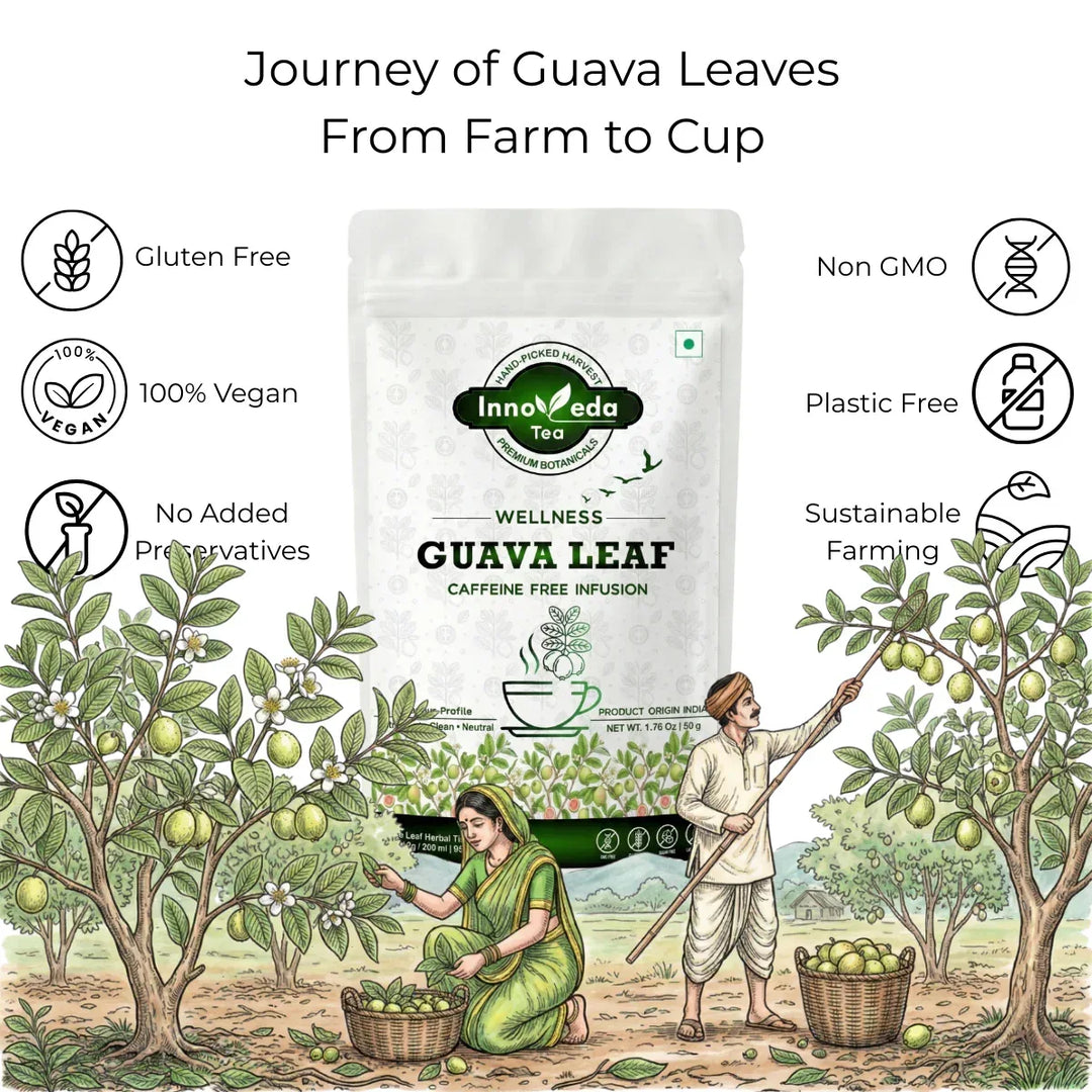 Guava Leaf Infusion 50 grams - INNOVEDA