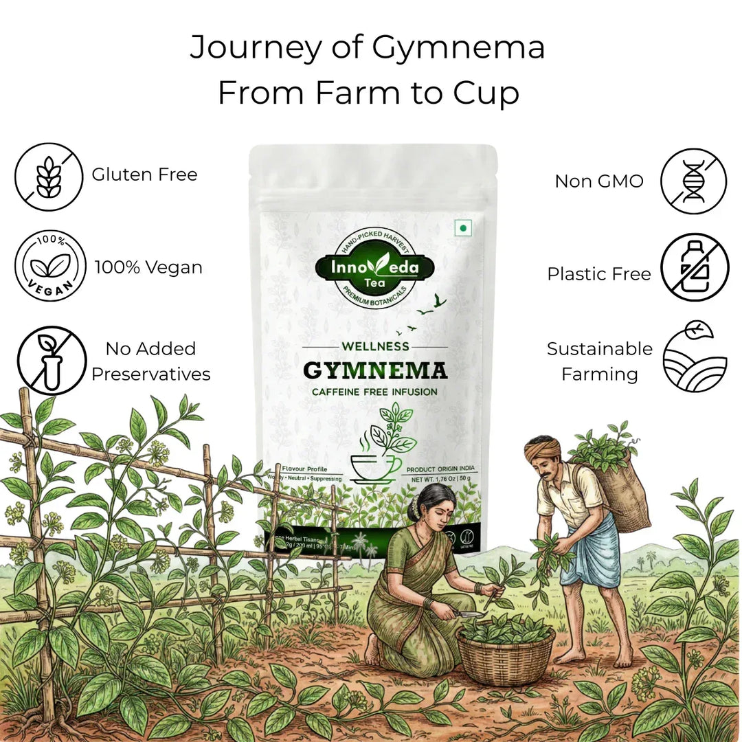 Gymnema Gurmar Tisane 50 Grams - INNOVEDA