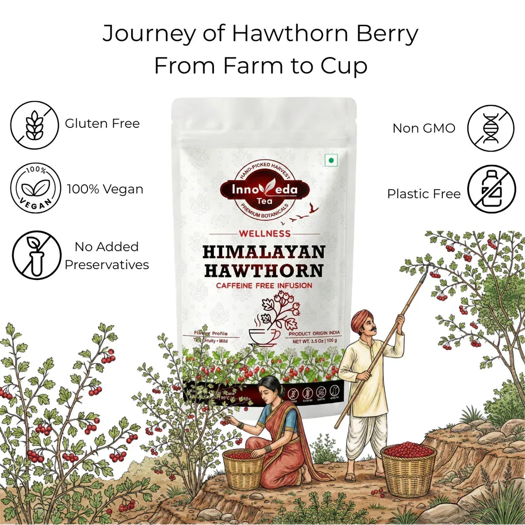 Himalayan Hawthorn Tisane 100 Grams - INNOVEDA