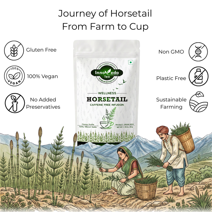 Horsetail Leaf Tisane 50 Grams