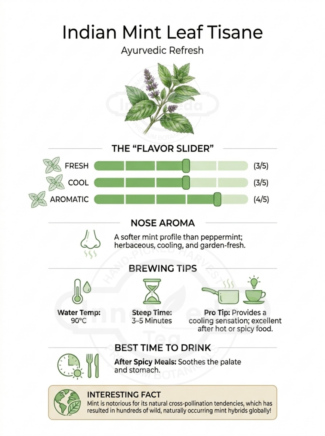 Indian Mint Tisane 50 Grams