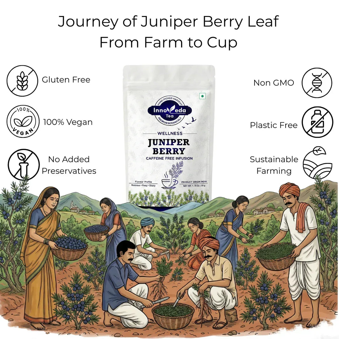 Juniper Berry Leaf Tisane 50 Grams - INNOVEDA