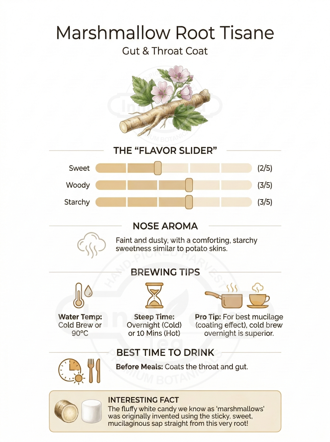 Marshmallow-Wurzel-Tee