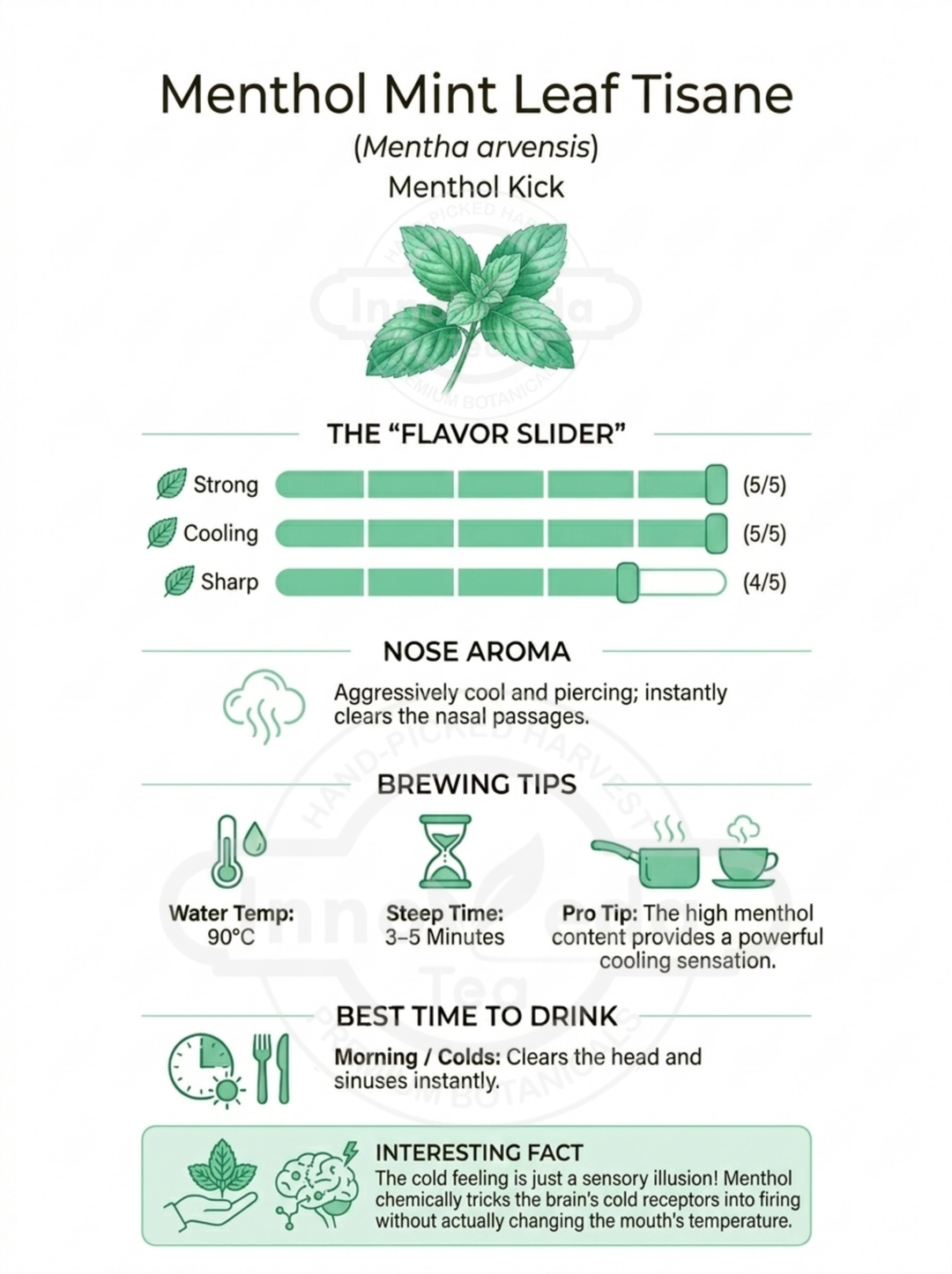 Menthol Mint Tisane 50 Grams