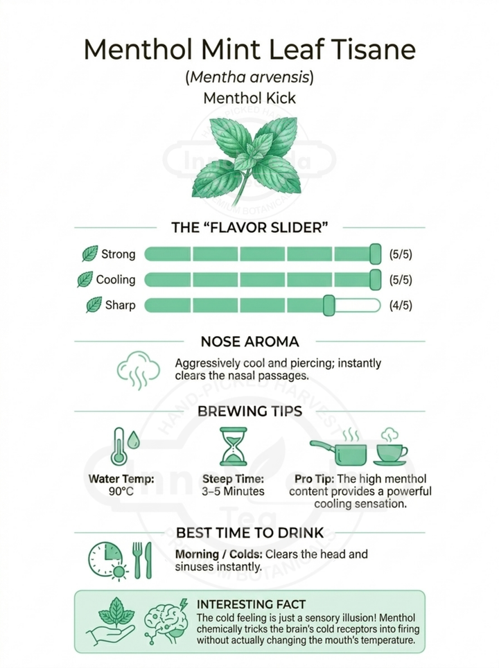 Menthol Mint Tisane 50 Grams